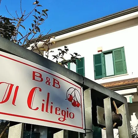 Il Ciliegio Bed & Breakfast